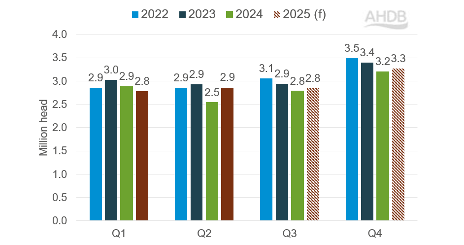 Graph showing actual and estimated UK lamb slaughter